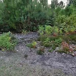 Les Sentiers D'elya *